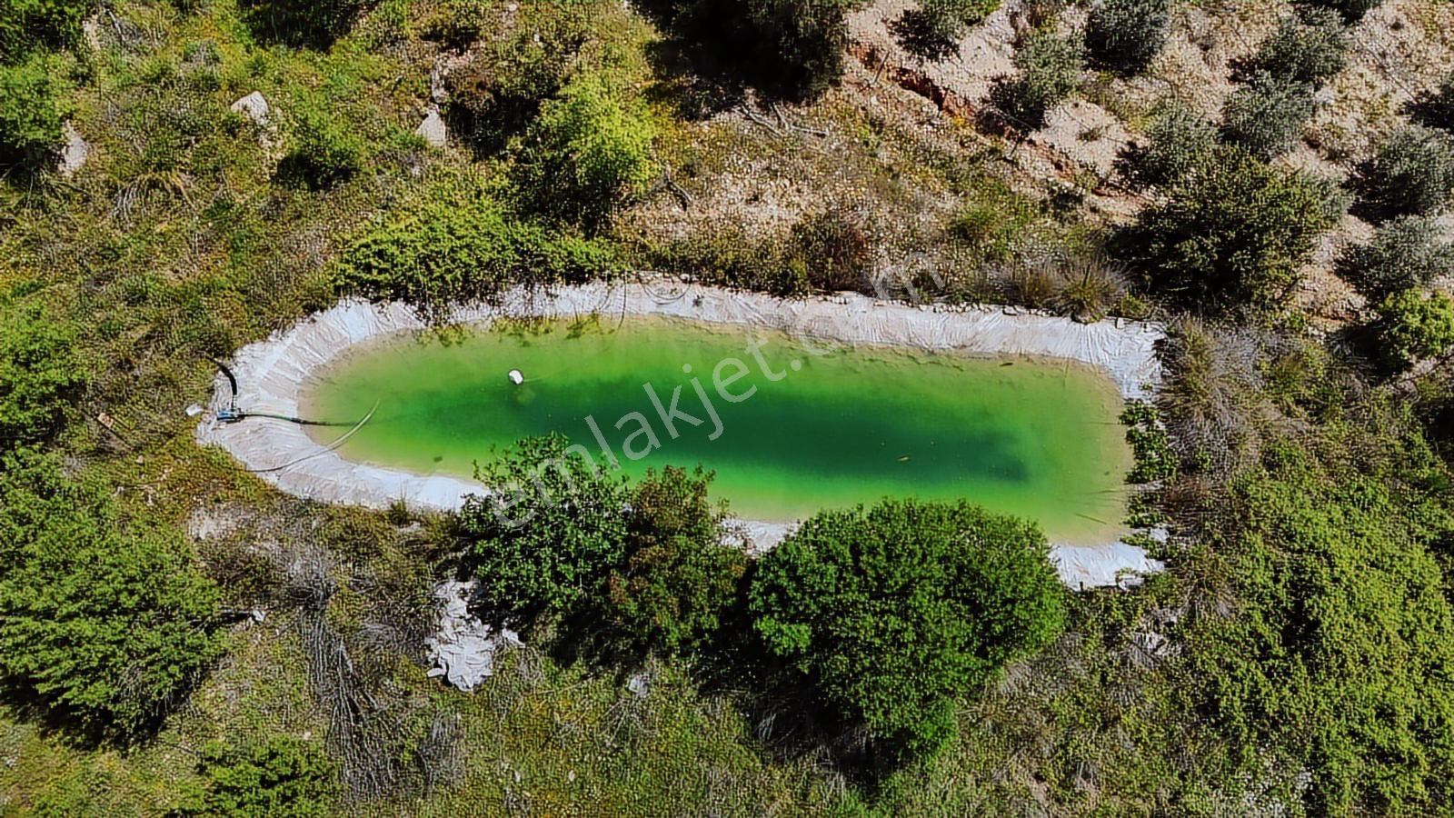 Aydoğan Emlak'tan Müstakil Tapu 18.534 M2 Tarla-sera-2 Adet Ev — fotoğraf 6