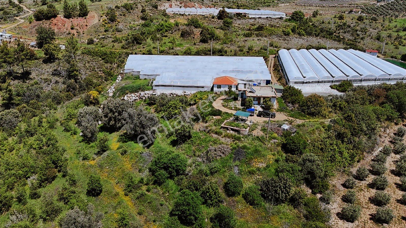 Aydoğan Emlak'tan Müstakil Tapu 18.534 M2 Tarla-sera-2 Adet Ev — fotoğraf 8