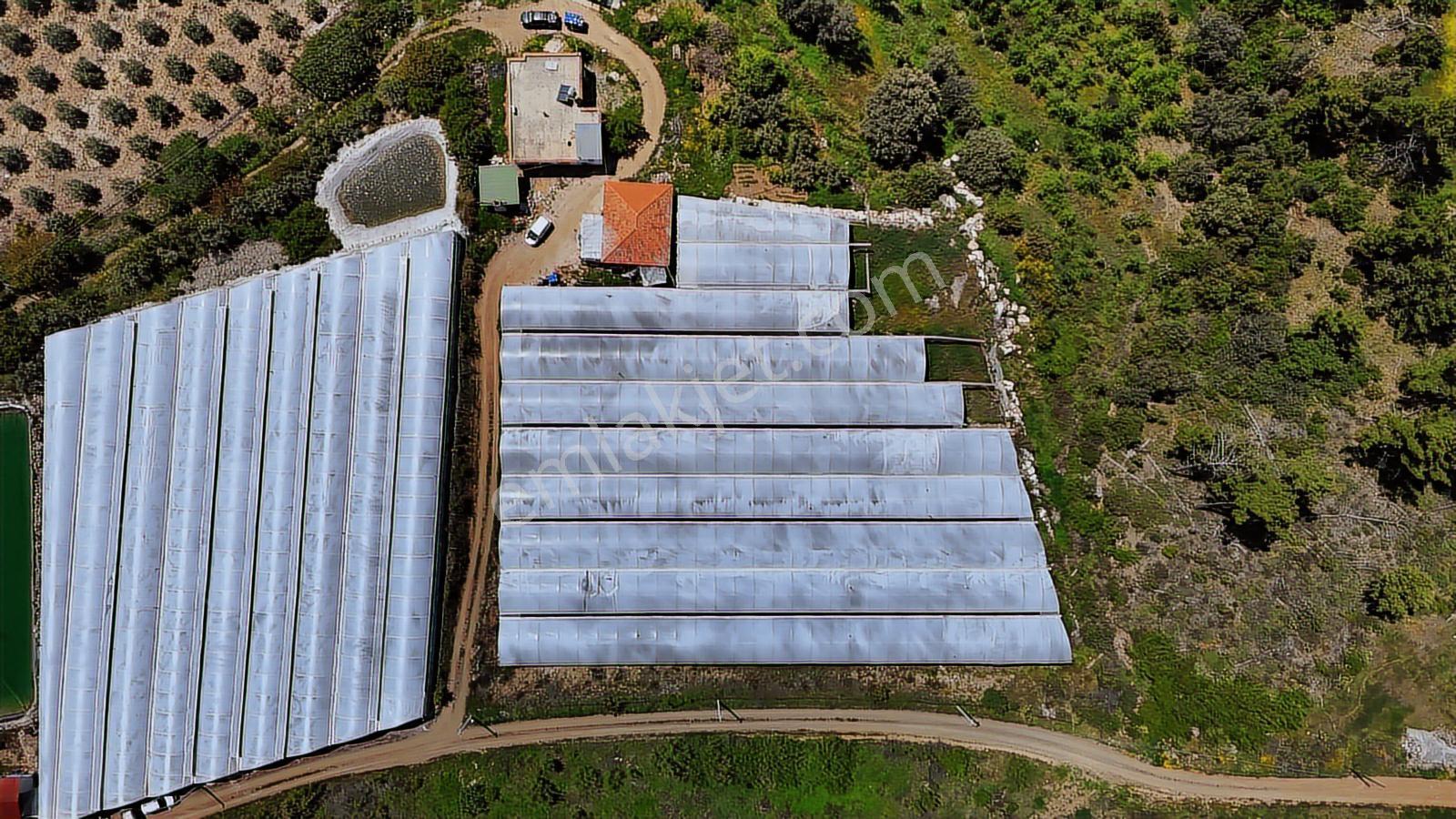 Aydoğan Emlak'tan Müstakil Tapu 18.534 M2 Tarla-sera-2 Adet Ev — fotoğraf 9