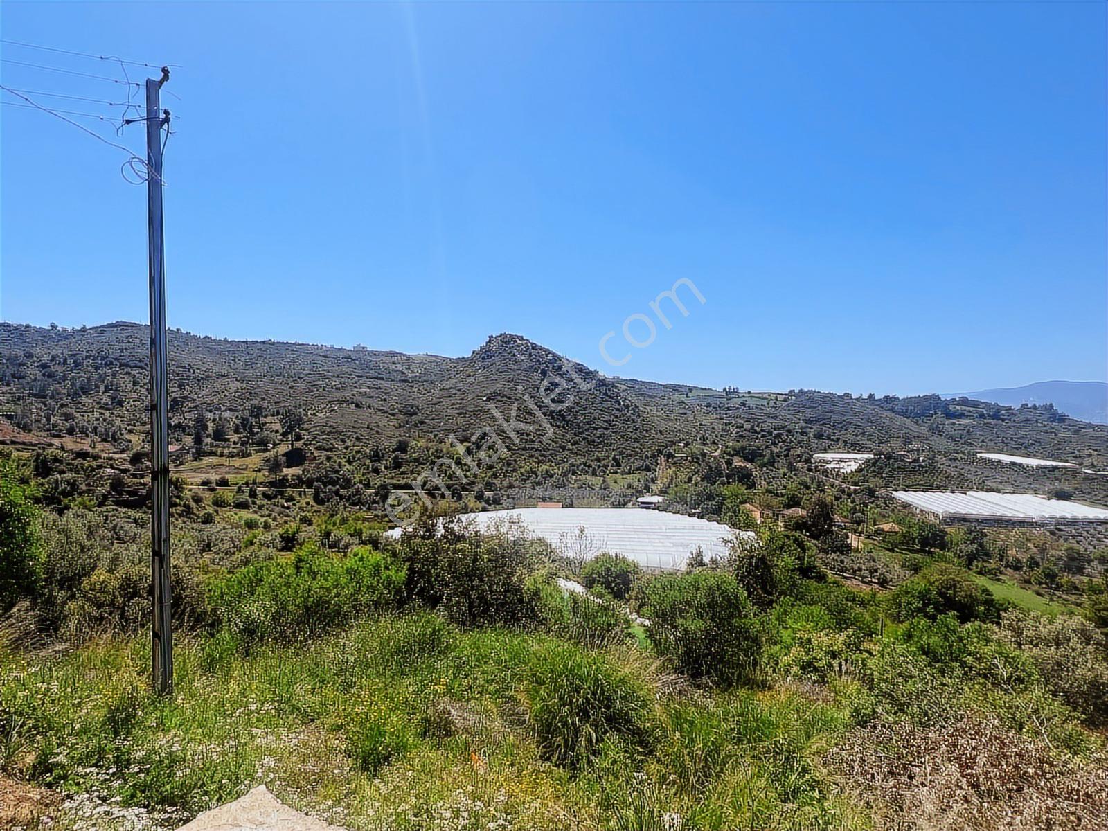 Aydoğan Emlak'tan Müstakil Tapu 18.534 M2 Tarla-sera-2 Adet Ev — fotoğraf 11