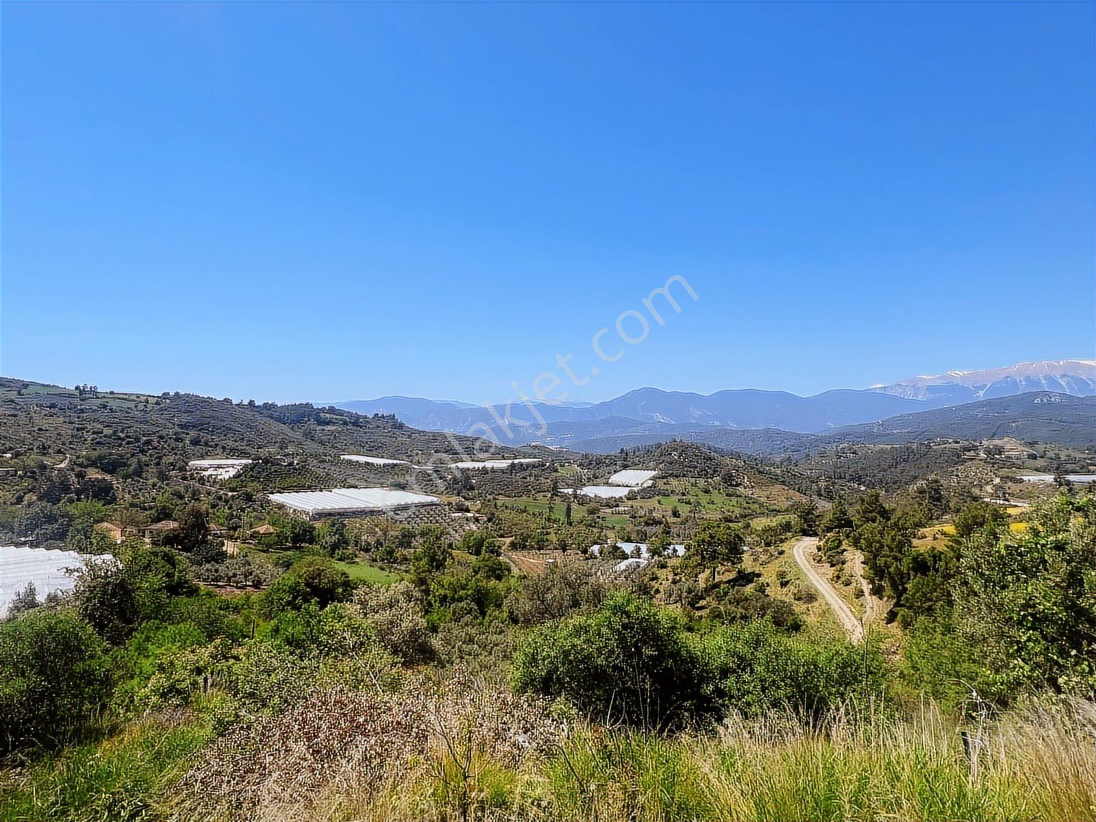 Aydoğan Emlak'tan Müstakil Tapu 18.534 M2 Tarla-sera-2 Adet Ev — fotoğraf 12