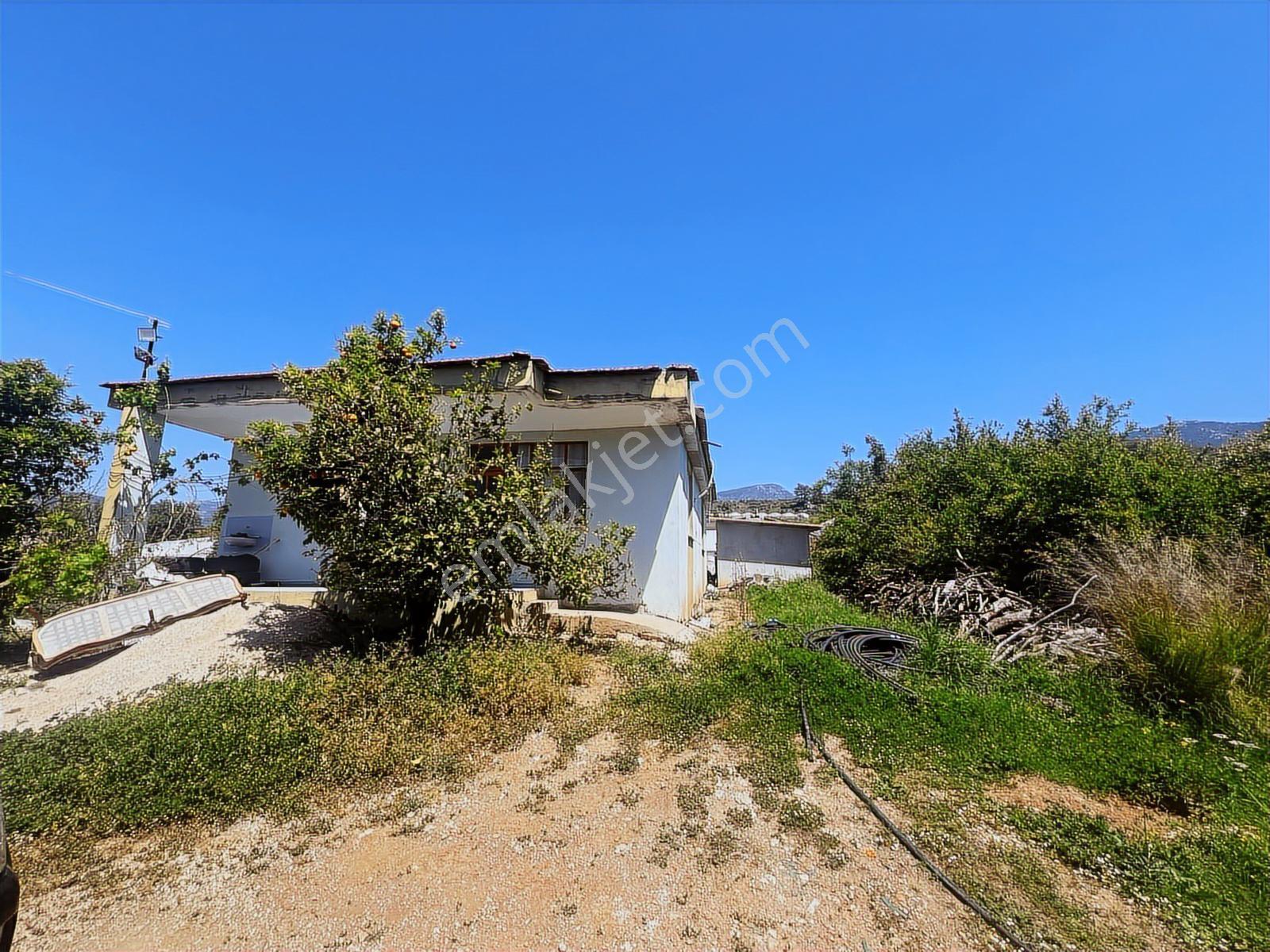 Aydoğan Emlak'tan Müstakil Tapu 18.534 M2 Tarla-sera-2 Adet Ev — fotoğraf 13