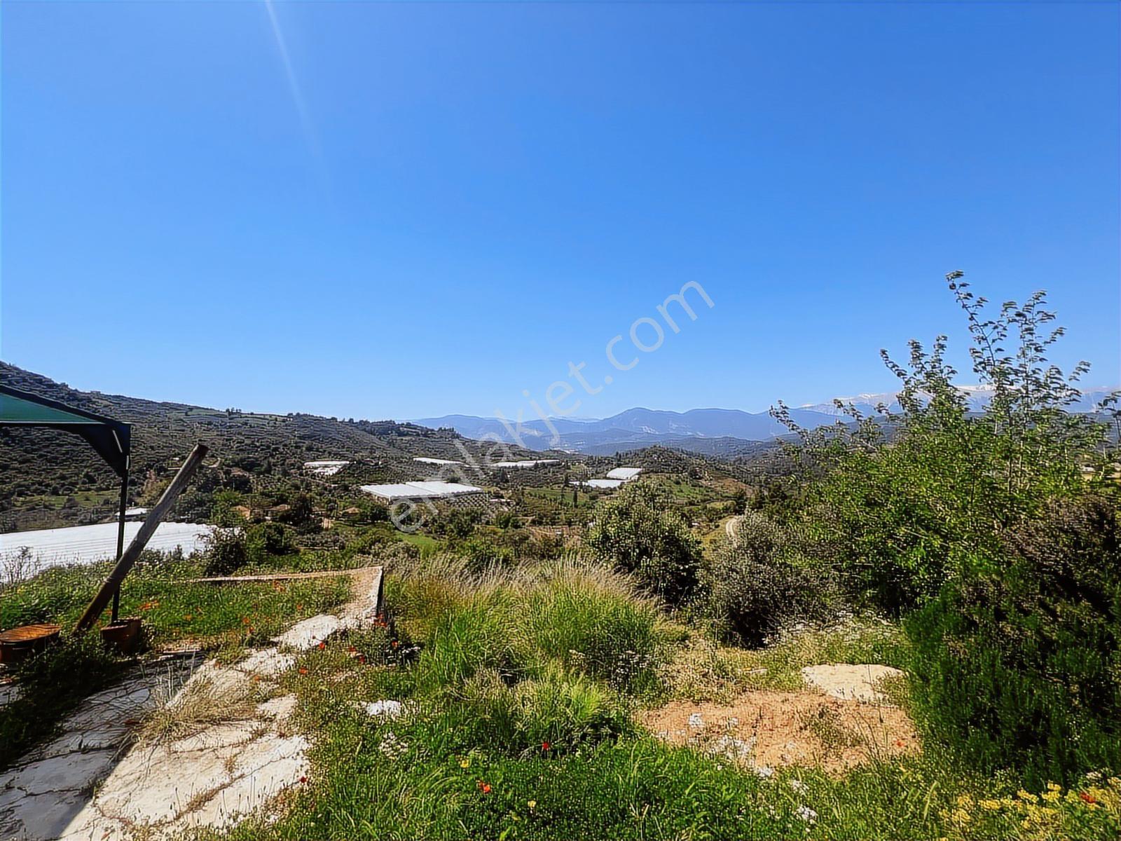 Aydoğan Emlak'tan Müstakil Tapu 18.534 M2 Tarla-sera-2 Adet Ev — fotoğraf 14