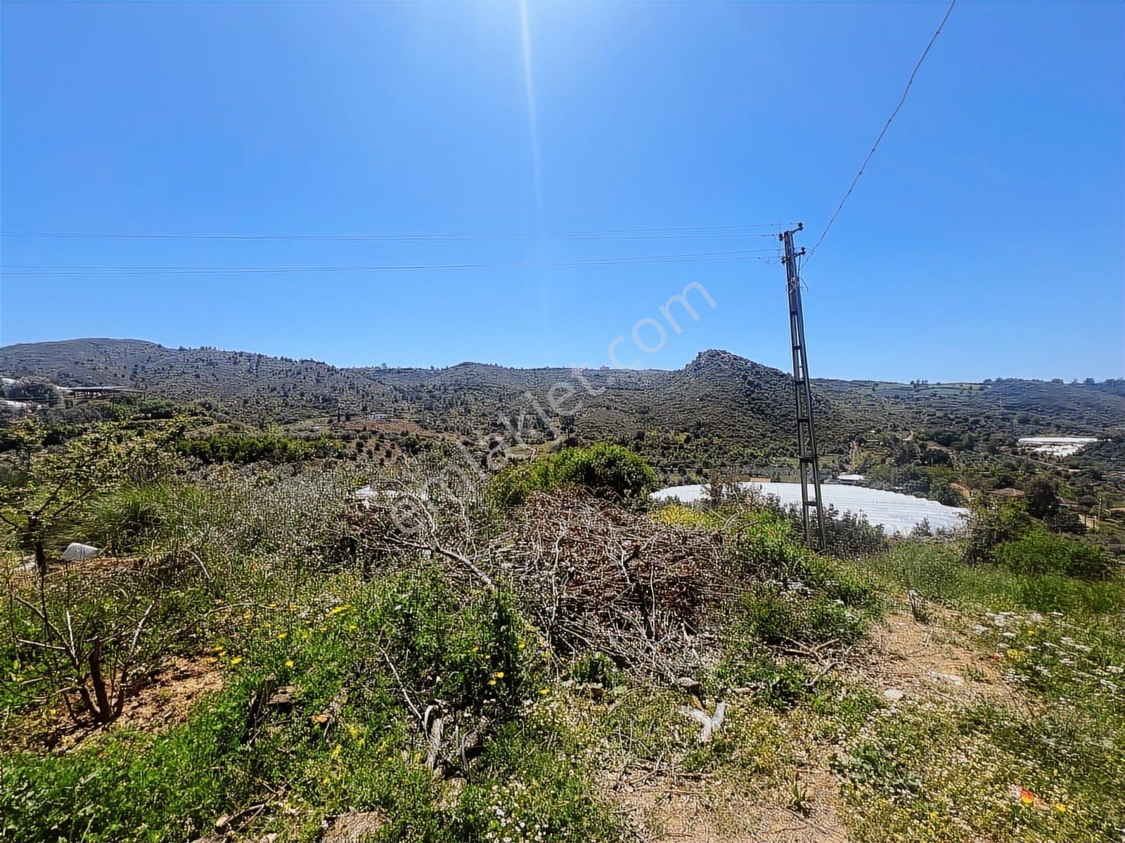 Aydoğan Emlak'tan Müstakil Tapu 18.534 M2 Tarla-sera-2 Adet Ev — fotoğraf 16