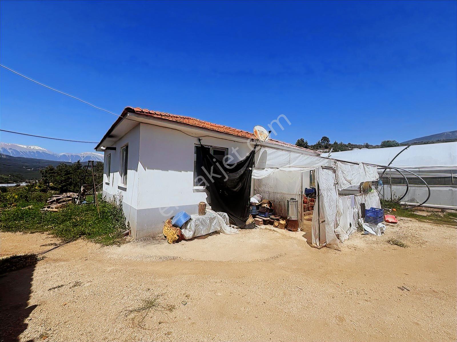 Aydoğan Emlak'tan Müstakil Tapu 18.534 M2 Tarla-sera-2 Adet Ev — fotoğraf 27