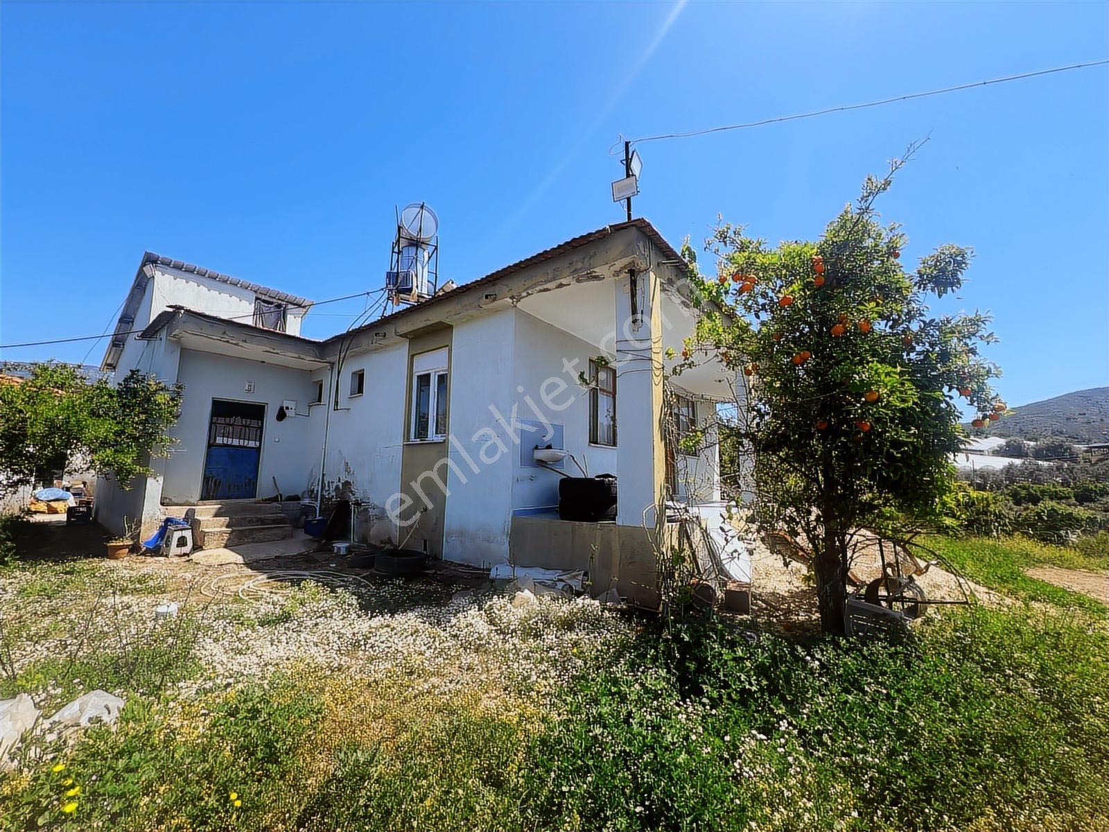 Aydoğan Emlak'tan Müstakil Tapu 18.534 M2 Tarla-sera-2 Adet Ev — fotoğraf 29