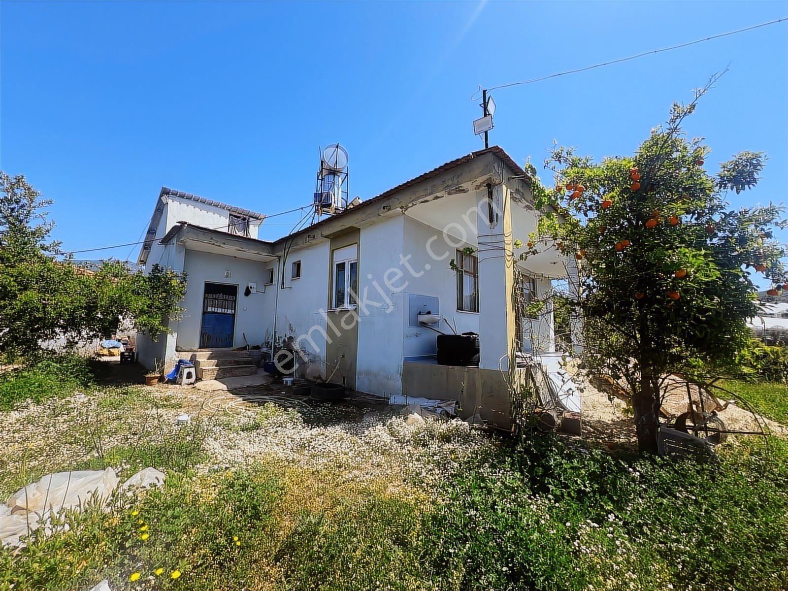 Aydoğan Emlak'tan Müstakil Tapu 18.534 M2 Tarla-sera-2 Adet Ev — fotoğraf 31