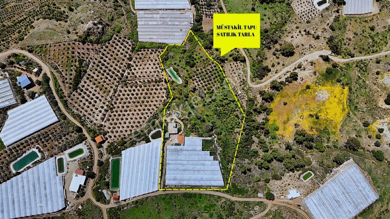 Aydoğan Emlak'tan Müstakil Tapu 18.534 M2 Tarla-sera-2 Adet Ev — fotoğraf 33