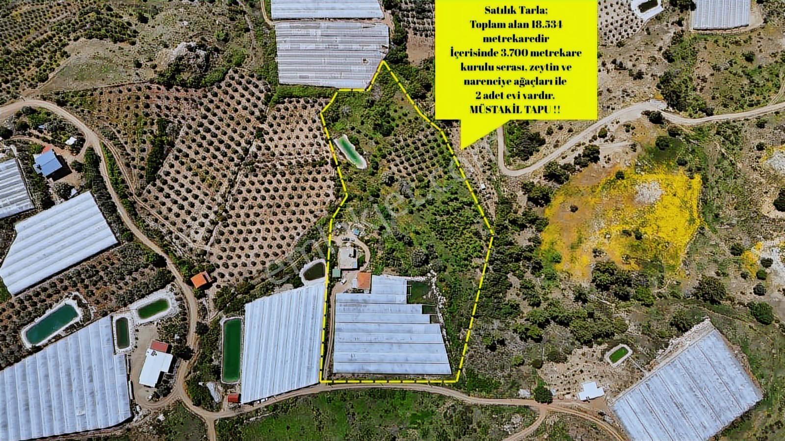 Aydoğan Emlak'tan Müstakil Tapu 18.534 M2 Tarla-sera-2 Adet Ev — fotoğraf 34