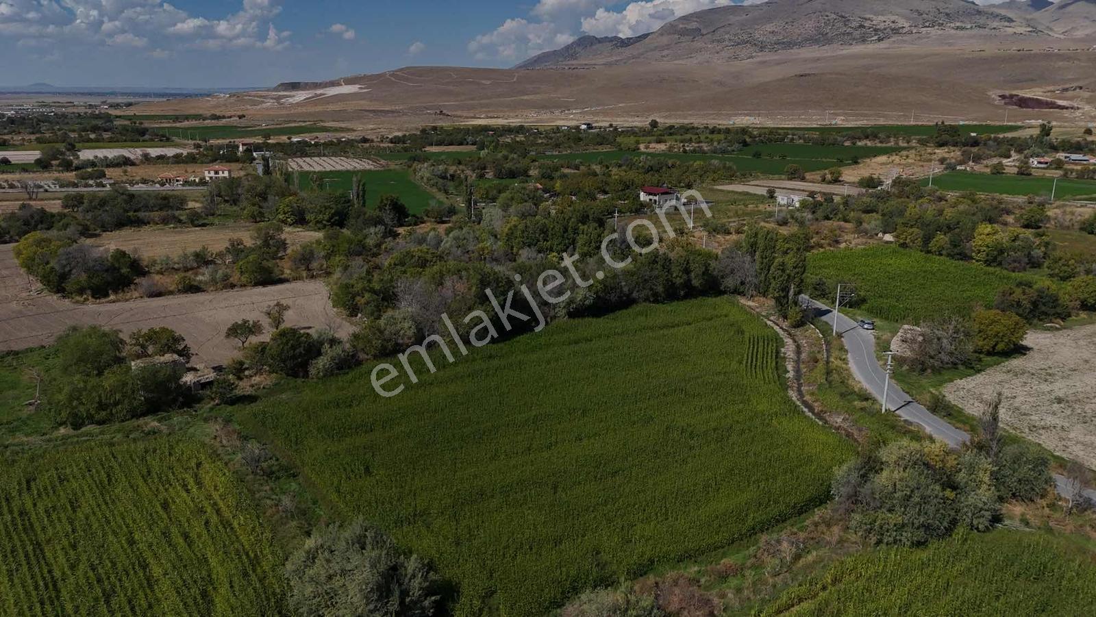 Emin Emlak Bor Kayı Köyünde Satılık — fotoğraf 4