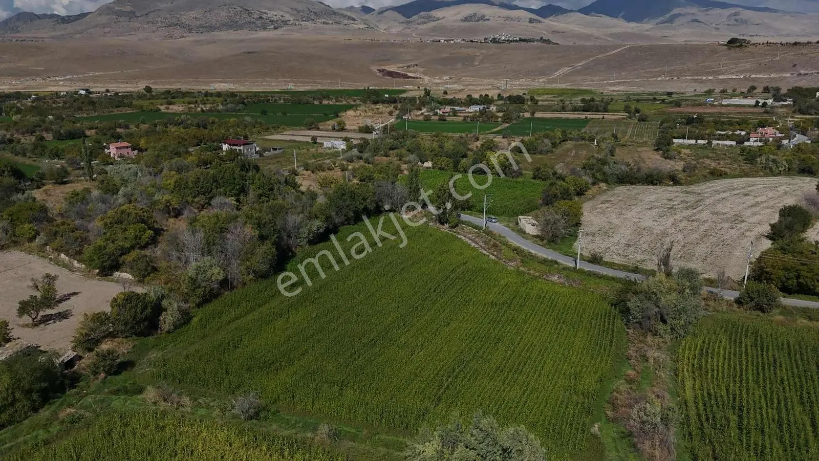 Emin Emlak Bor Kayı Köyünde Satılık — fotoğraf 5