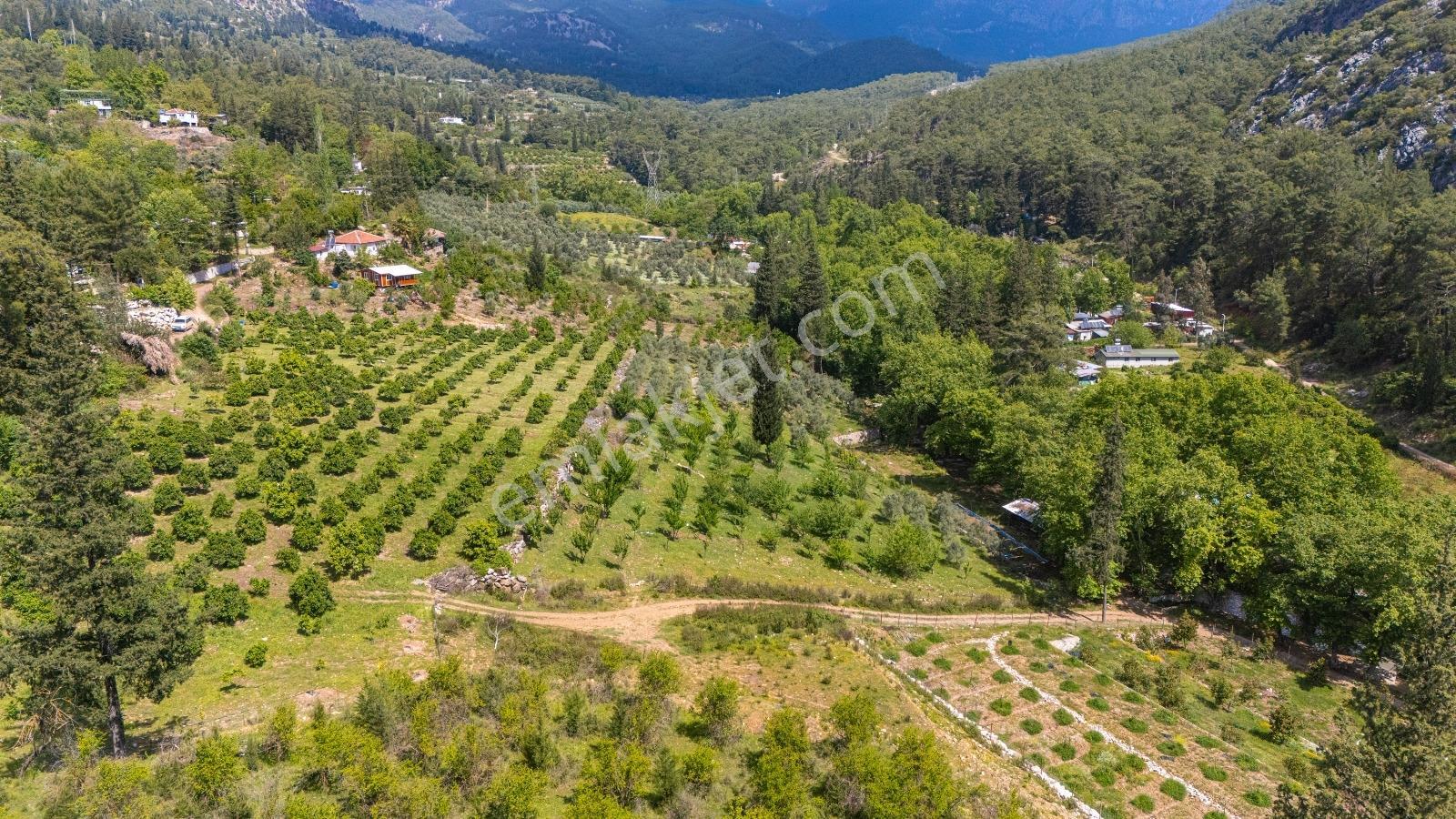 Kemer Ulupınar'Da Satılık 2291 M2 Arazi