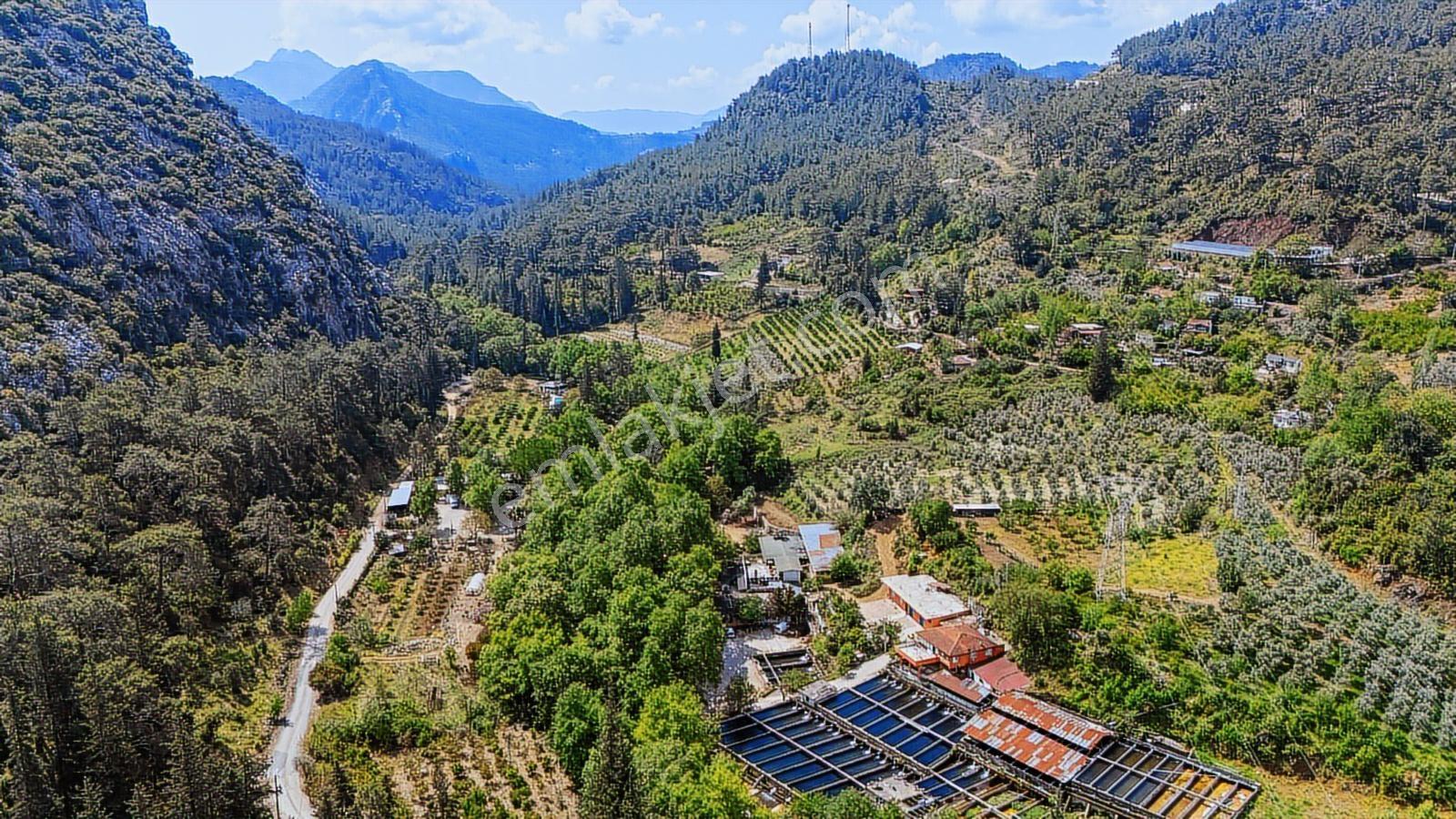 Kemer Ulupınar'da Satılık 2291 M2 Arazi — fotoğraf 5