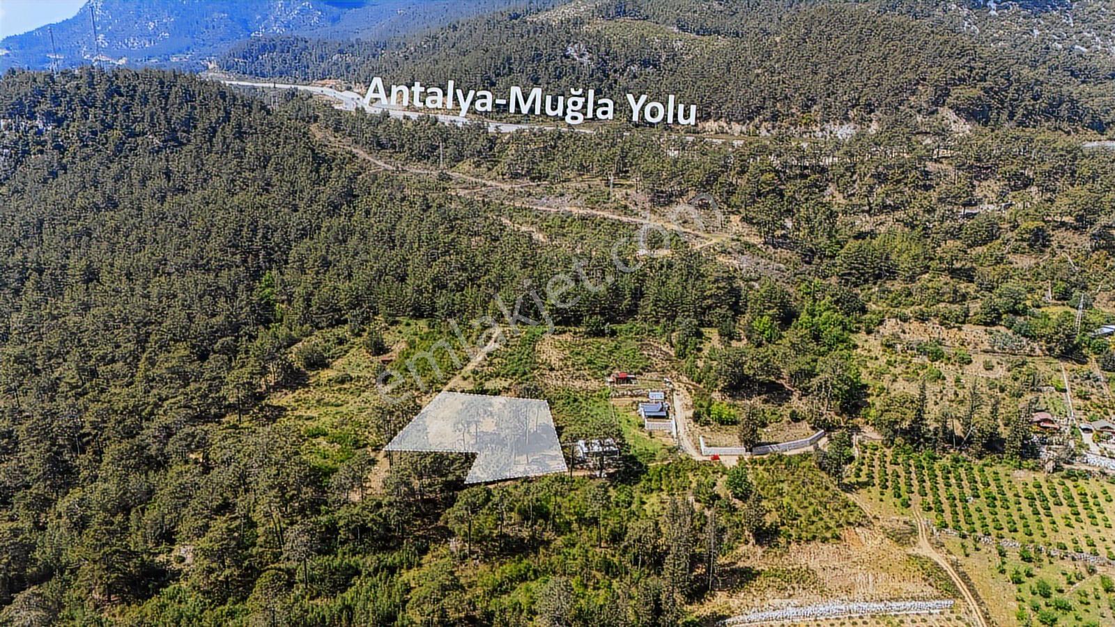 Kemer Ulupınar'da Satılık 2291 M2 Arazi — fotoğraf 6