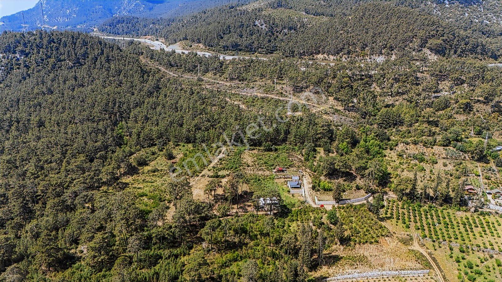 Kemer Ulupınar'da Satılık 2291 M2 Arazi — fotoğraf 7