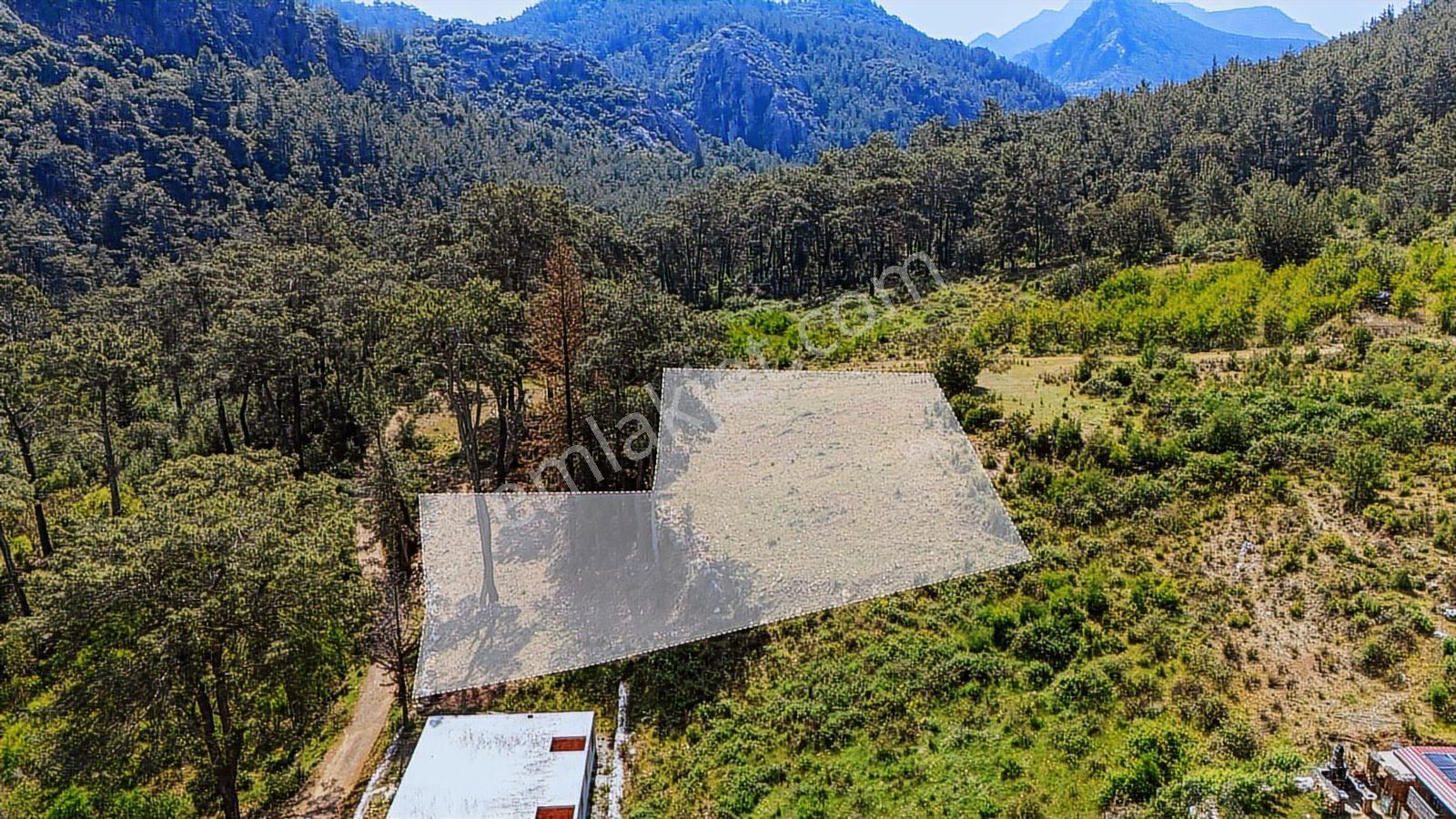 Kemer Ulupınar'da Satılık 2291 M2 Arazi — fotoğraf 11