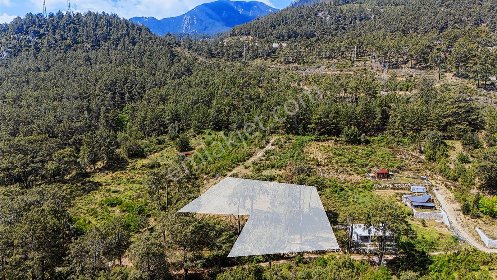 Kemer Ulupınar'da Satılık 2291 M2 Arazi — fotoğraf 14