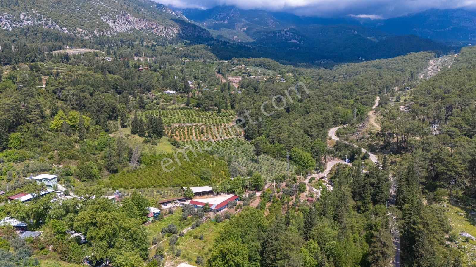 Kemer Ulupınar'da Satılık 2291 M2 Arazi — fotoğraf 18