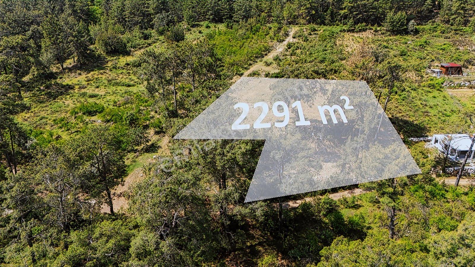 Kemer Ulupınar'da Satılık 2291 M2 Arazi — fotoğraf 23