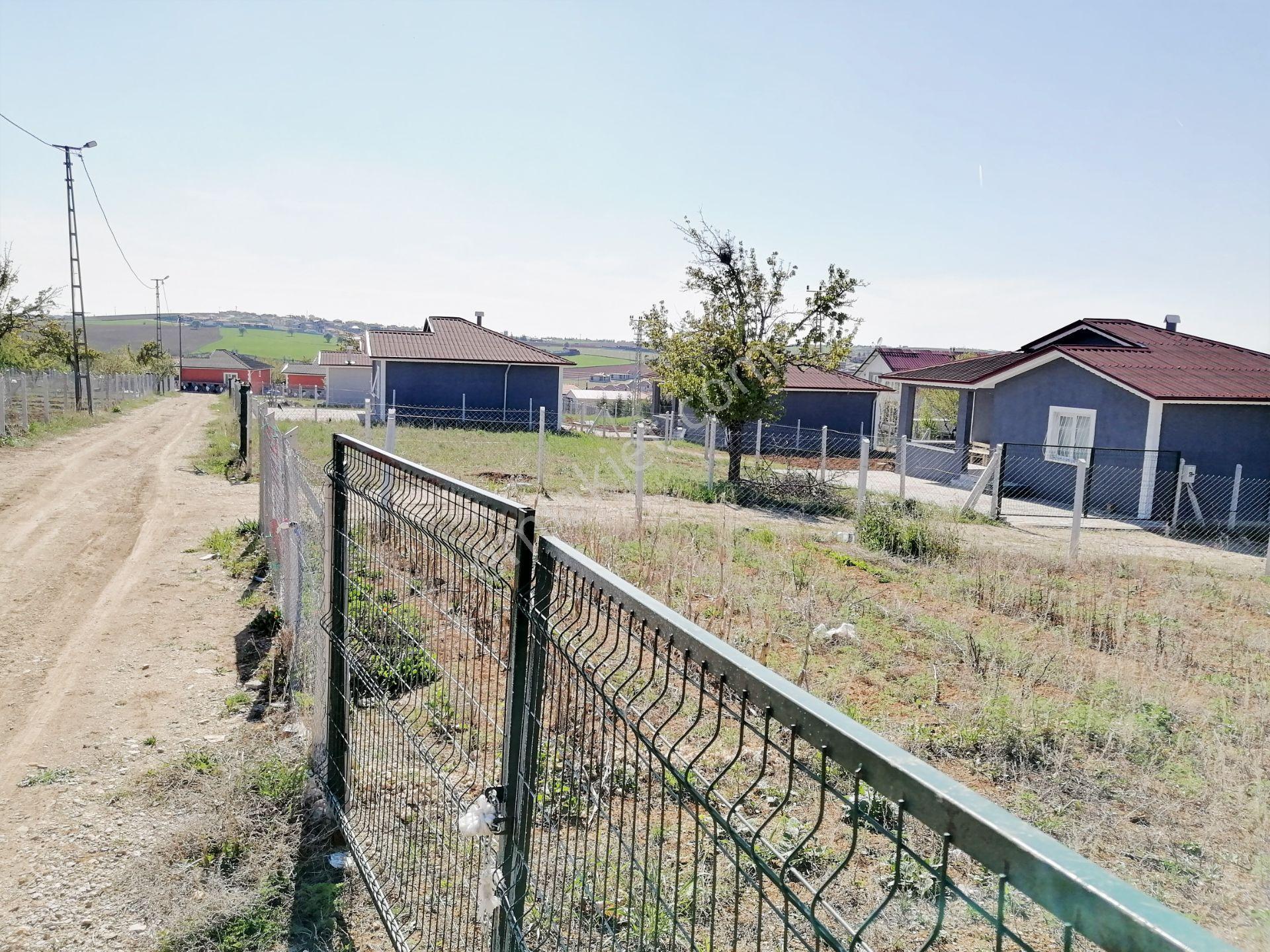 Aydıncık Köyü Ana Yola Yakın 400m2 Elektirik Su Aktif Bahçe — fotoğraf 10