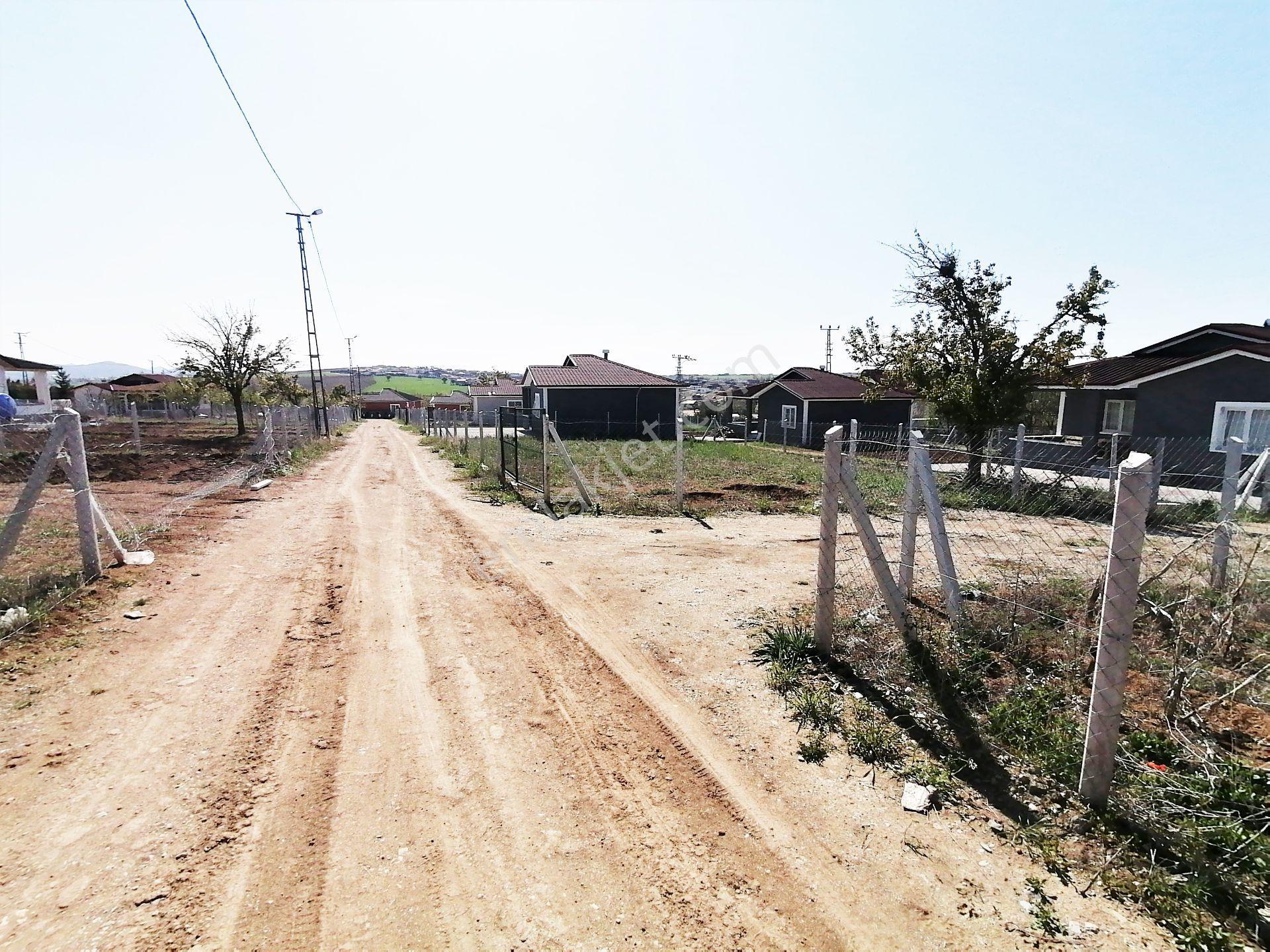 Aydıncık Köyü Ana Yola Yakın 400m2 Elektirik Su Aktif Bahçe — fotoğraf 19