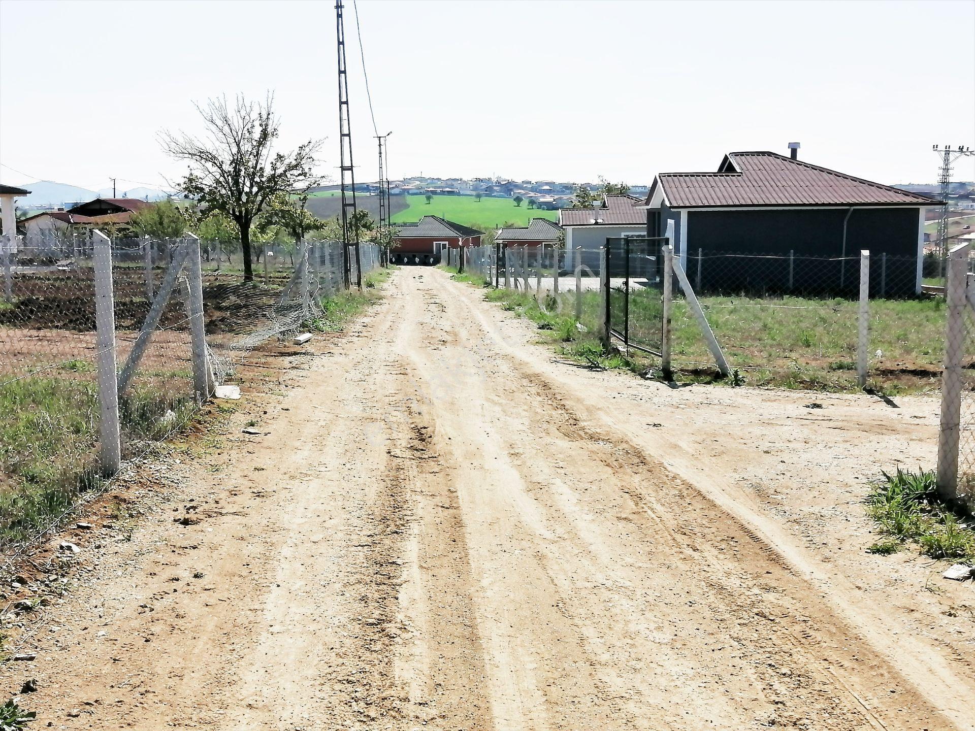 Aydıncık Köyü Ana Yola Yakın 400m2 Elektirik Su Aktif Bahçe — fotoğraf 22