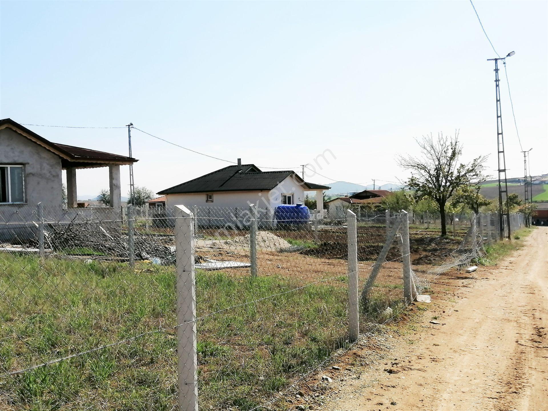 Aydıncık Köyü Ana Yola Yakın 400m2 Elektirik Su Aktif Bahçe — fotoğraf 23