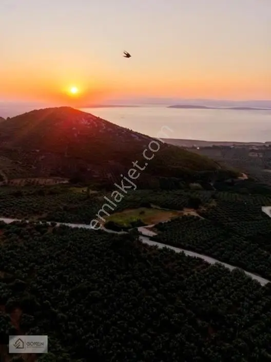 Mustafakemalpaşa Akçapınarda Göl Manzaralı Satılık Tarla — fotoğraf 3