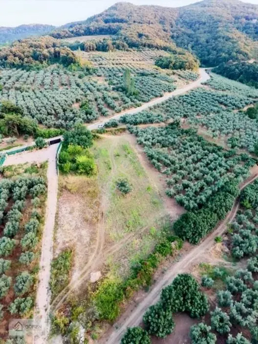 Mustafakemalpaşa Akçapınarda Göl Manzaralı Satılık Tarla — fotoğraf 4
