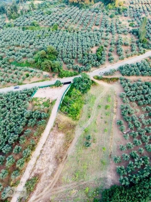 Mustafakemalpaşa Akçapınarda Göl Manzaralı Satılık Tarla — fotoğraf 10