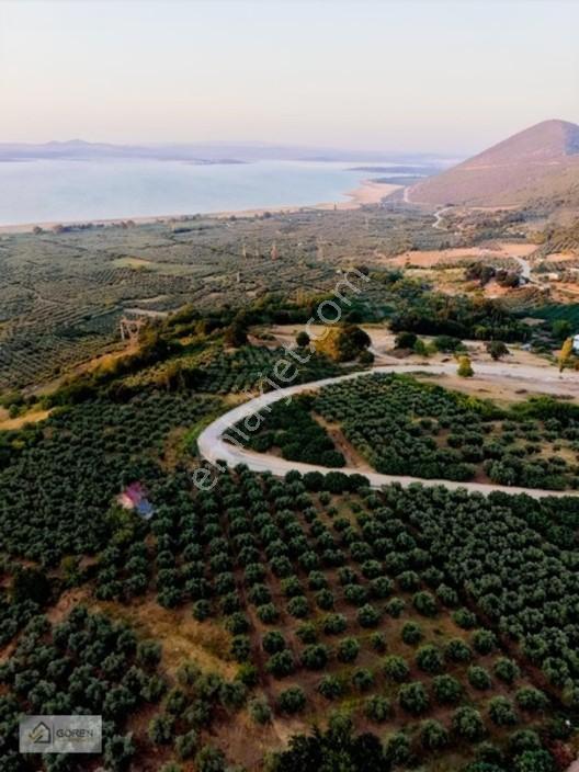 Mustafakemalpaşa Akçapınarda Göl Manzaralı Satılık Tarla — fotoğraf 12