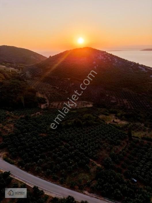 Mustafakemalpaşa Akçapınarda Göl Manzaralı Satılık Tarla — fotoğraf 18