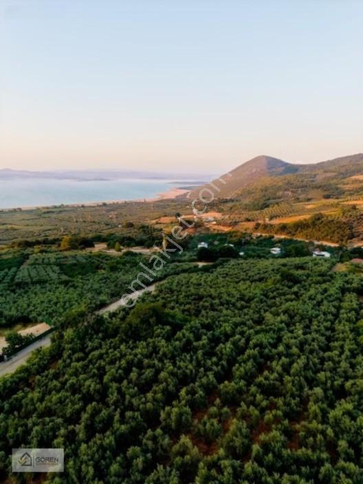 Mustafakemalpaşa Akçapınarda Göl Manzaralı Satılık Tarla — fotoğraf 22