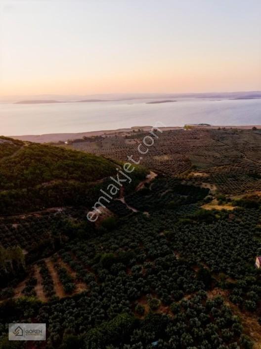 Mustafakemalpaşa Akçapınarda Göl Manzaralı Satılık Tarla — fotoğraf 25