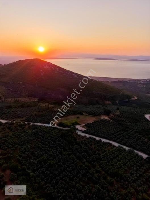Mustafakemalpaşa Akçapınarda Göl Manzaralı Satılık Tarla — fotoğraf 28
