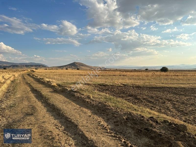 Tutmaç Köyünde Yolu Olan Tek Tapu 27.608 M2 Satılık Düz Tarla — fotoğraf 11