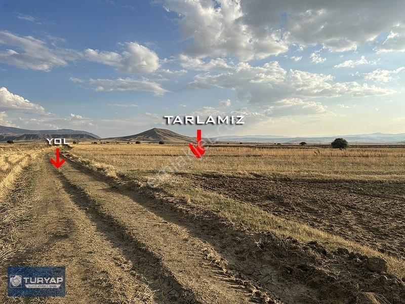 Tutmaç Köyünde Yolu Olan Tek Tapu 27.608 M2 Satılık Düz Tarla — fotoğraf 12