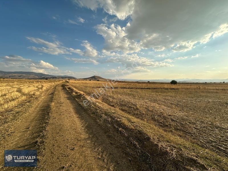 Tutmaç Köyünde Yolu Olan Tek Tapu 27.608 M2 Satılık Düz Tarla — fotoğraf 14
