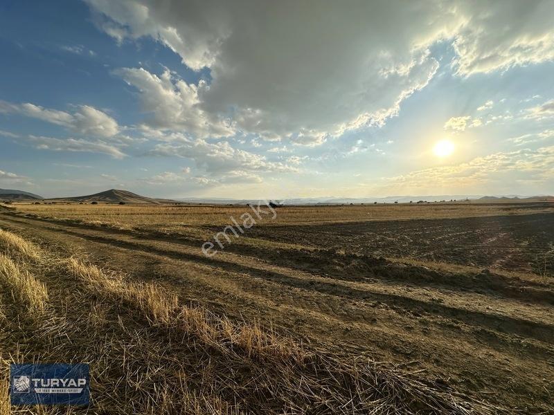 Tutmaç Köyünde Yolu Olan Tek Tapu 27.608 M2 Satılık Düz Tarla — fotoğraf 15