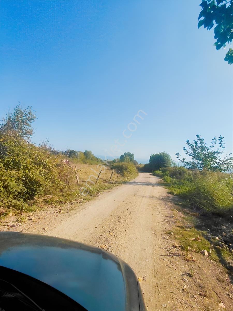 Benimevimden Akyazı Uzunçınarda Yatırımlık Arazi — fotoğraf 2