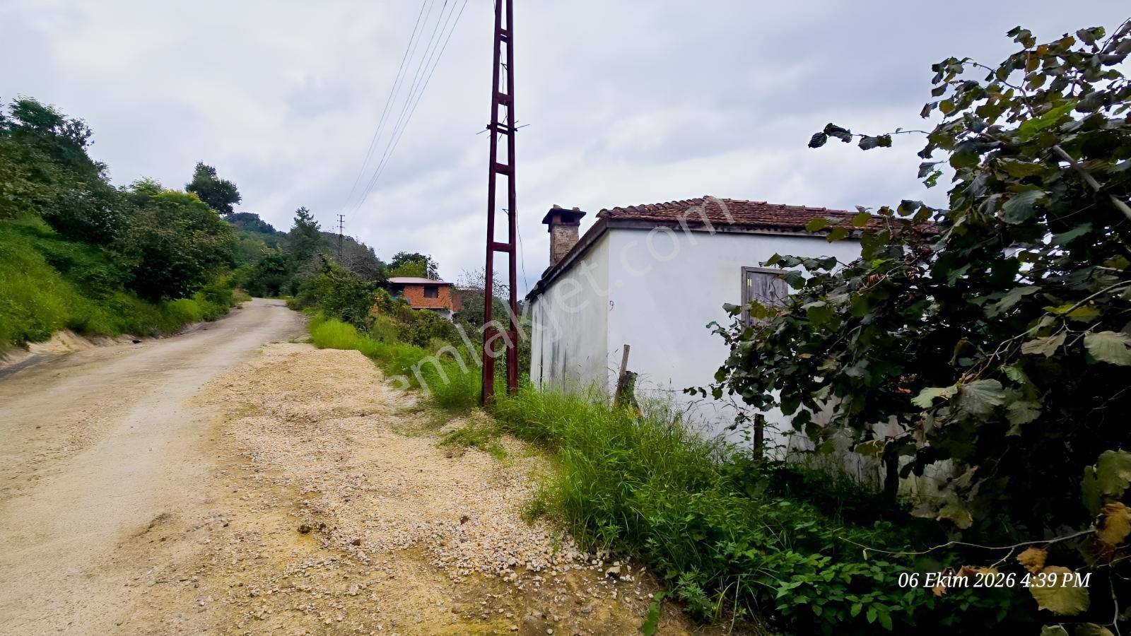 Şehirden Uzaklaşmadan, Köy Hayatına Dönmek İsteyenlere Özel! — fotoğraf 5