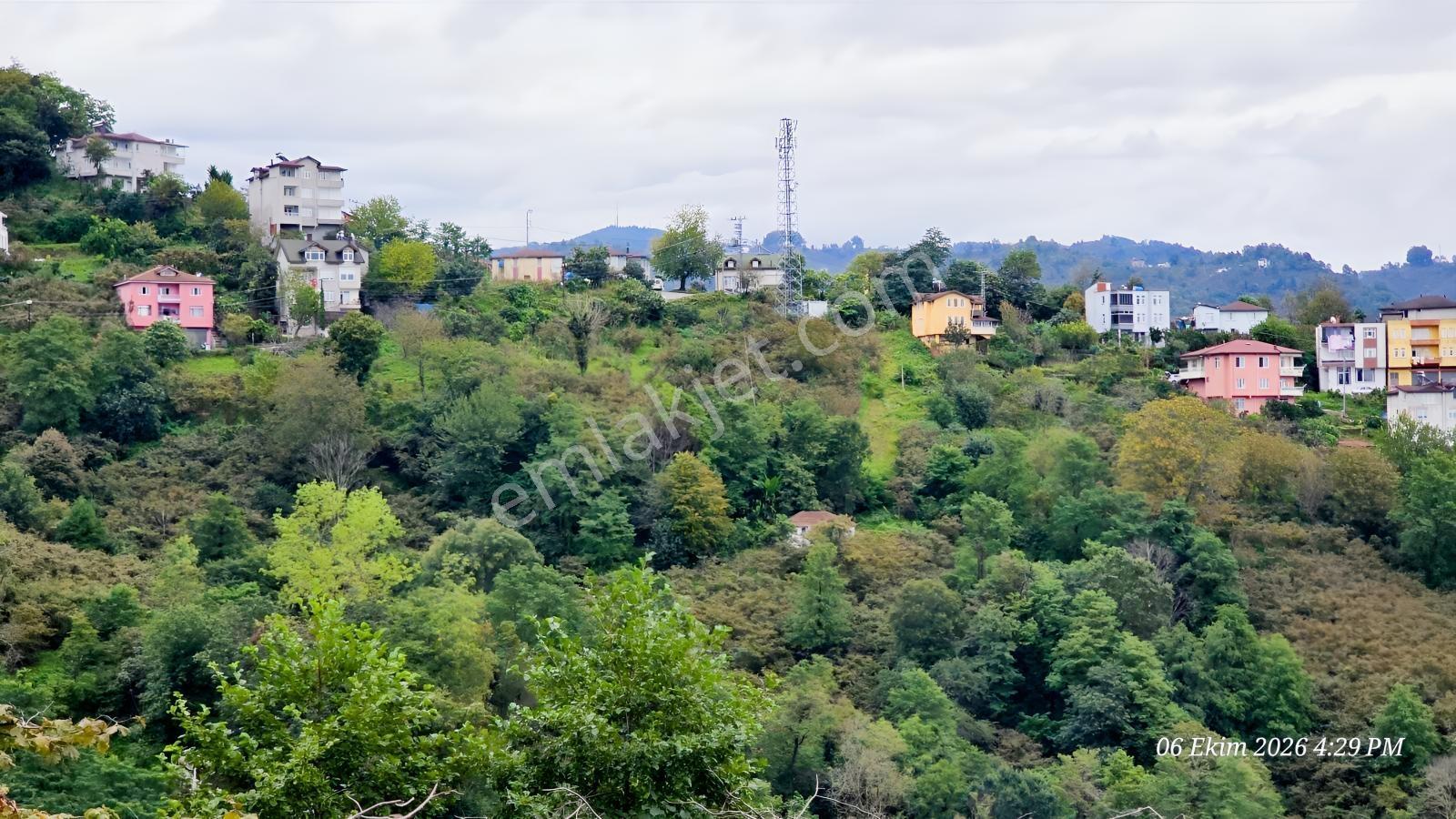 Şehirden Uzaklaşmadan, Köy Hayatına Dönmek İsteyenlere Özel! — fotoğraf 7