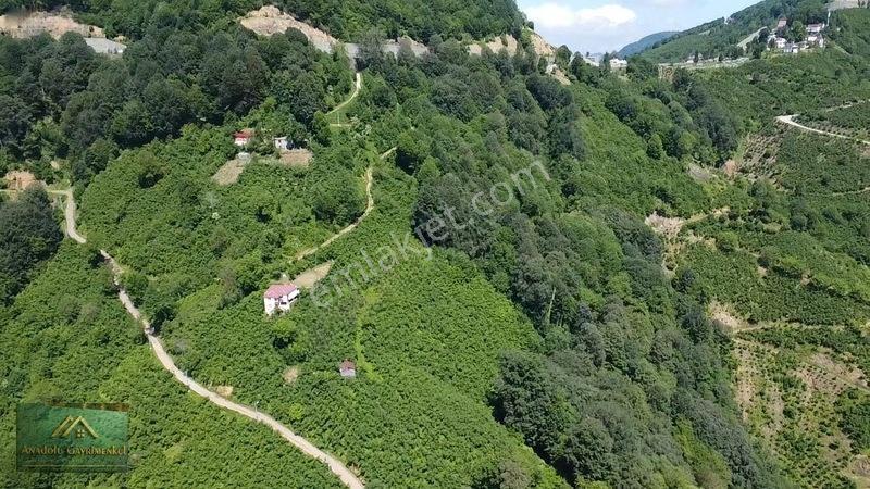 Anadolu'dan Ulubey Refahiye'de Satılık 3 Parsel Bahçe — fotoğraf 2