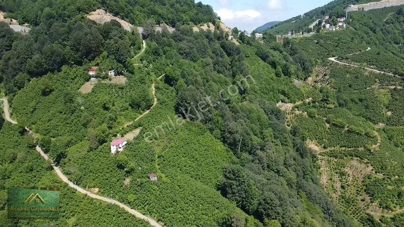 Anadolu'dan Ulubey Refahiye'de Satılık 3 Parsel Bahçe — fotoğraf 3