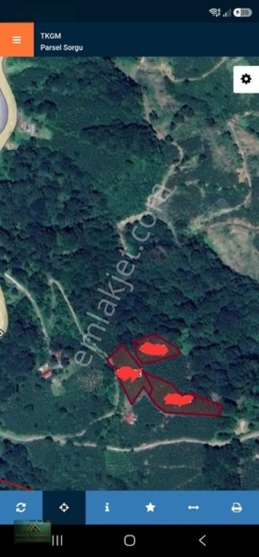 Anadolu'dan Ulubey Refahiye'de Satılık 3 Parsel Bahçe — fotoğraf 4