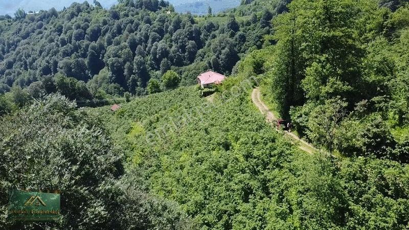 Anadolu'dan Ulubey Refahiye'de Satılık 3 Parsel Bahçe — fotoğraf 6