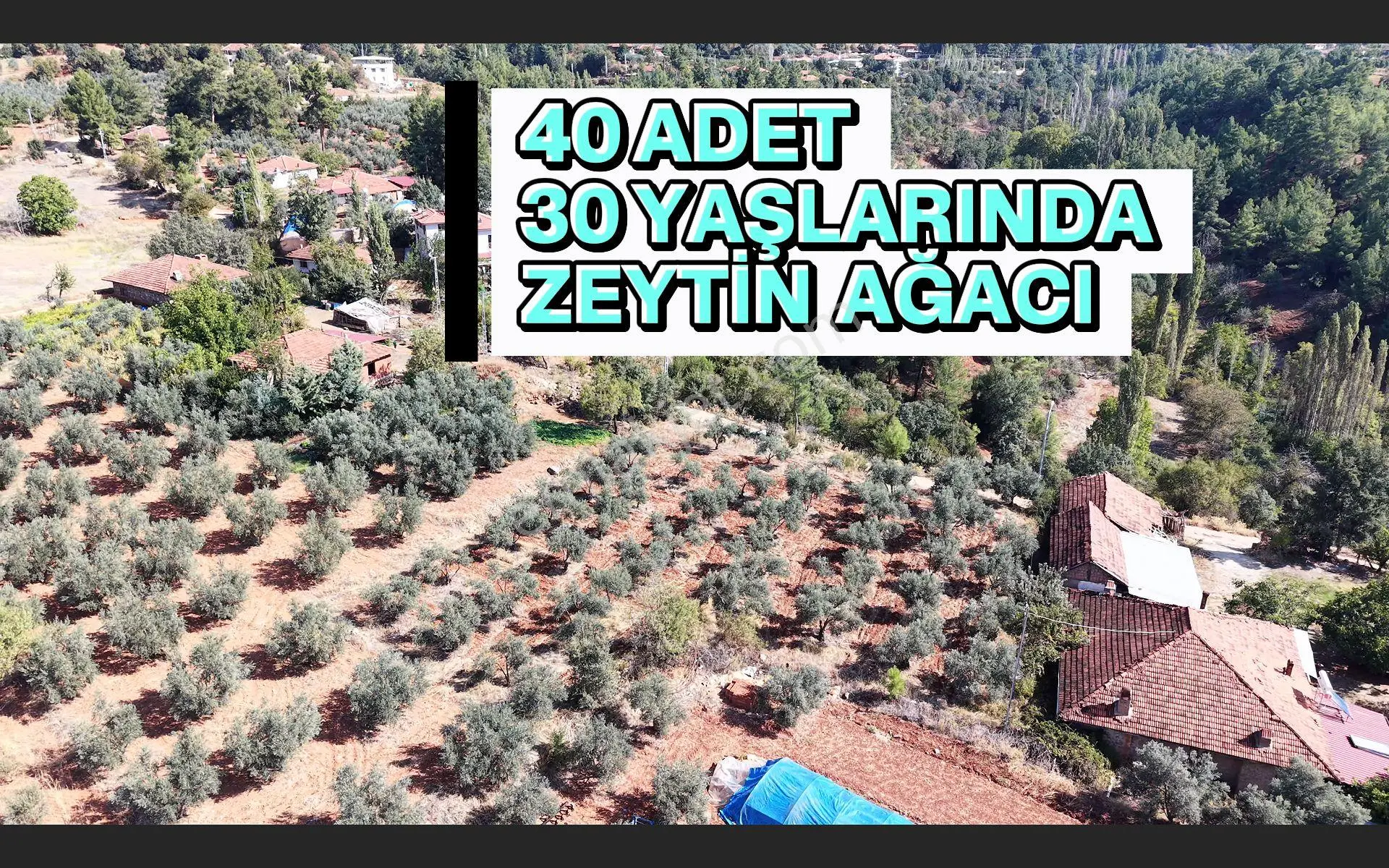 Lobby Fortis’ten Beyağaç’ta İkiye Bölünebilir Projeli Satılık Villa Arsası — fotoğraf 5