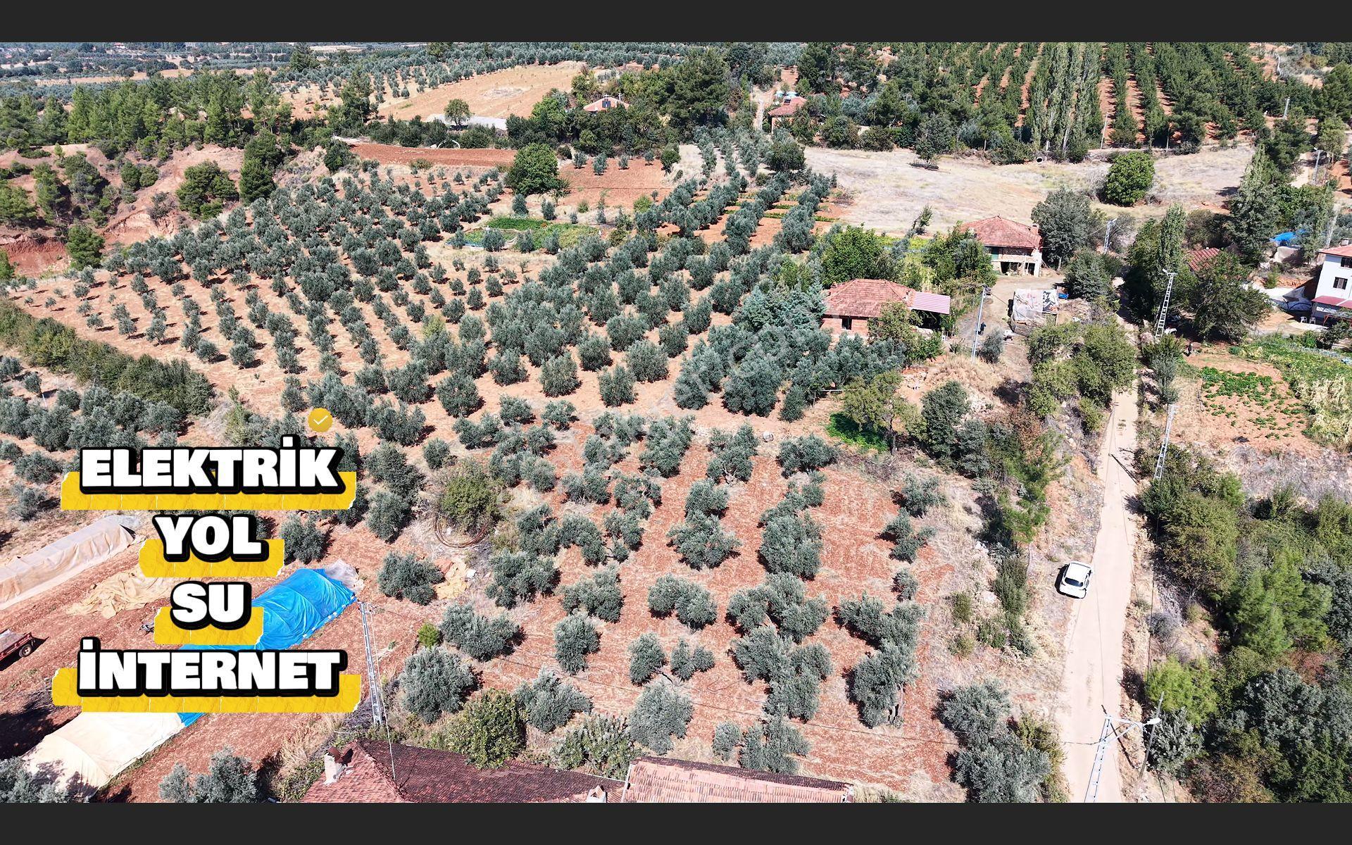 Lobby Fortis’ten Beyağaç’ta İkiye Bölünebilir Projeli Satılık Villa Arsası — fotoğraf 7