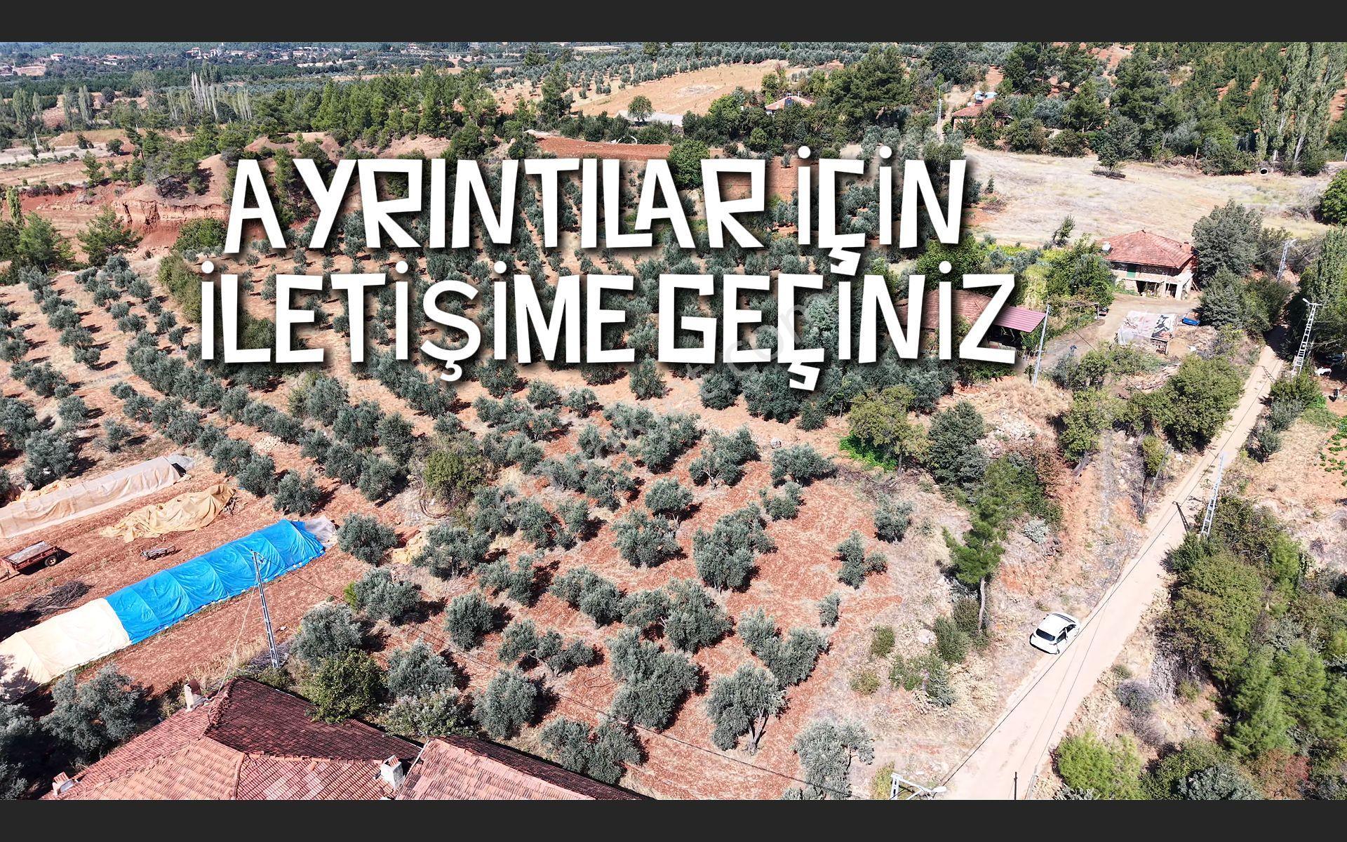 Lobby Fortis’ten Beyağaç’ta İkiye Bölünebilir Projeli Satılık Villa Arsası — fotoğraf 12