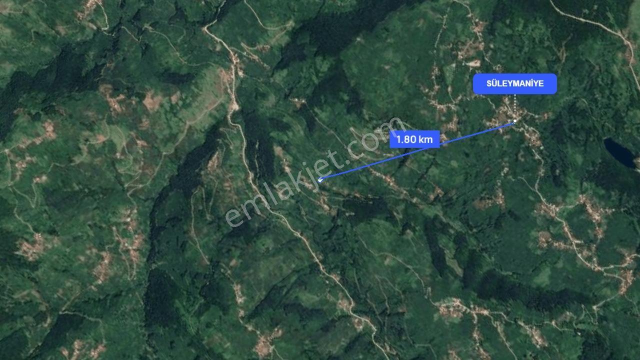 Gölköy Süleymaniye'De Satılık Bağ & Bahçeler